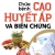 Chữa Bệnh Cao Huyết Áp Và Biến Chứng