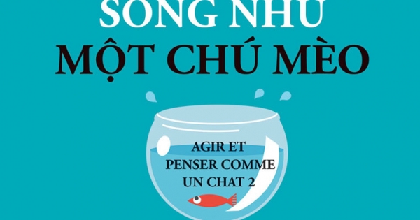 Sống Như Một Chú Mèo