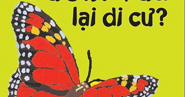 Lâu Đài Khoa Học Của Em - Tại Sao Bướm Vua Lại Di Cư?