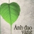 Ánh Đạo Vàng