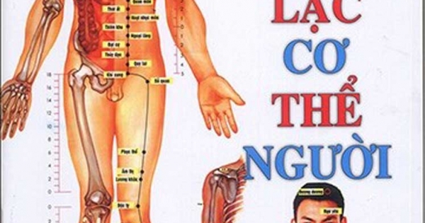 Huyệt Vị Kinh Lạc Cơ Thể Người