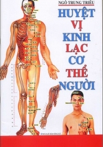 Huyệt Vị Kinh Lạc Cơ Thể Người