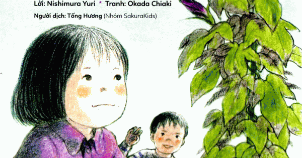 Cây Hoa Bìm Bịp Của Takkun