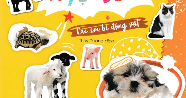 Dán Hình Tuyệt Đỉnh - Các Em Bé Động Vật