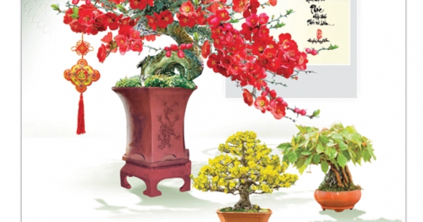 Lịch Tết 7 Tờ Lò Xo Bon Sai VL - 80 - In Quảng Cáo Logo Theo Yêu Cầu