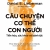 Câu Chuyện Cơ Thể Con Người: Tiến Hóa, Sức Khỏe Và Bệnh Tật