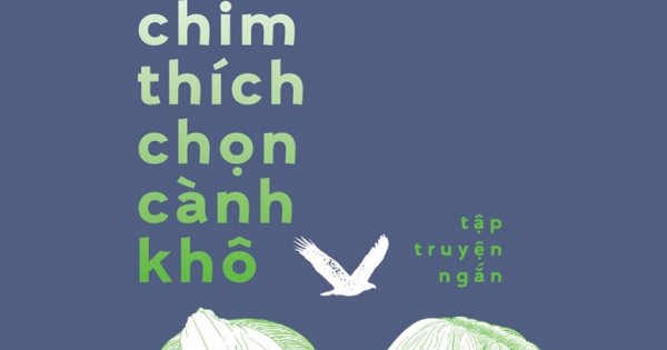 Lũ Chim Thích Chọn Cành Khô