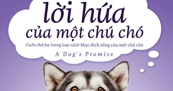 Lời Hứa Của Một Chú Chó