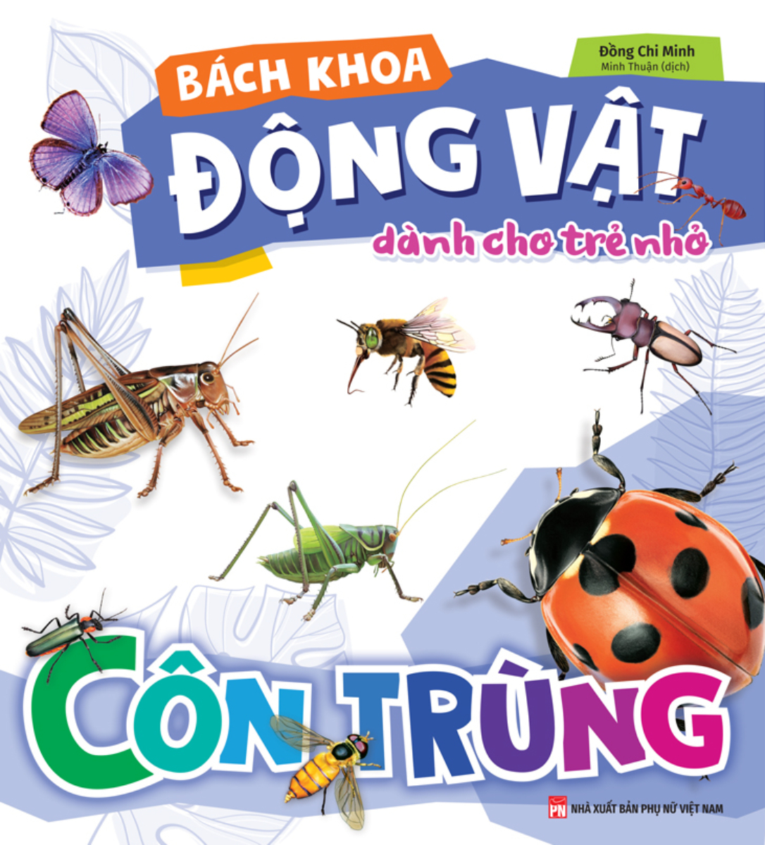 Bách Khoa Động Vật Dành Cho Trẻ Nhỏ - Côn Trùng