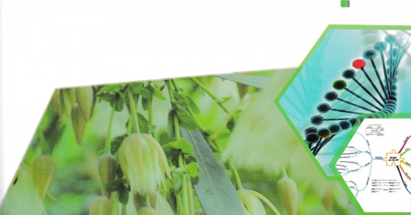 Ôn Luyện Thi Trắc Nghiệm THPT Quốc Gia Môn Sinh Học 2017 - Tặng Sơ Đồ Tư Duy Mindmap