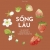 Sống Lâu - 50+ Bí Quyết Sống Dẻo Dai Từ Vùng Đất Trường Thọ