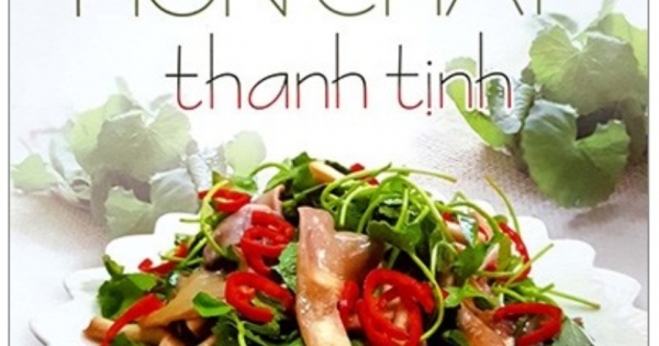 500 Món Chay Thanh Tịnh - Tập 9
