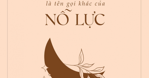 Kỳ Tích Là Tên Gọi Khác Của Nỗ Lực