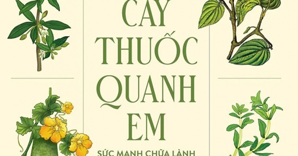 Cây Thuốc Quanh Em - Sức Mạnh Chữa Lành Từ Cây Cỏ
