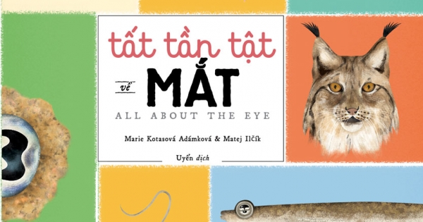 Tất Tần Tật Về Mắt - Khám Phá Cửa Sổ Tâm Hồn Của Muôn Loài
