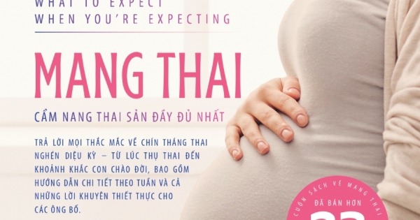 Hành Trình Nuôi Con: Mang Thai - Cẩm Nang Thai Sản Đầy Đủ Nhất