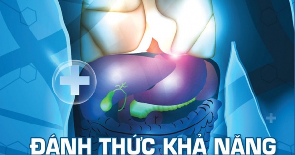 Đánh Thức Khả Năng Tự Chữa Lành Bệnh Của Cơ Thể