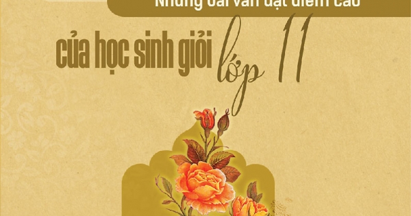 Tuyển Chọn Những Bài Văn Đạt Điểm Cao Của Học Sinh Giỏi Lớp 11