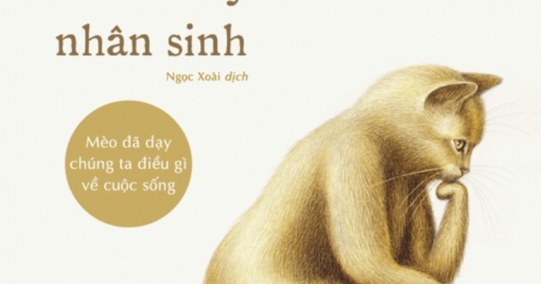 Mèo Và Triết Lý Nhân Sinh - Mèo Đã Dạy Chúng Ta Điều Gì Về Cuộc Sống (Bìa Cứng)