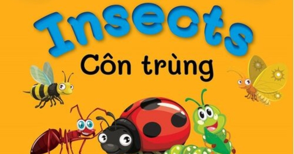Từ Điển Bằng Hình Đầu Tiên Của Bé - Insects - Côn Trùng (Song Ngữ Anh-Việt)