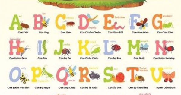 Tranh Treo Tường Học Tiếng Anh Bằng Hình Ảnh - Bảng Chữ Cái Tiếng Anh