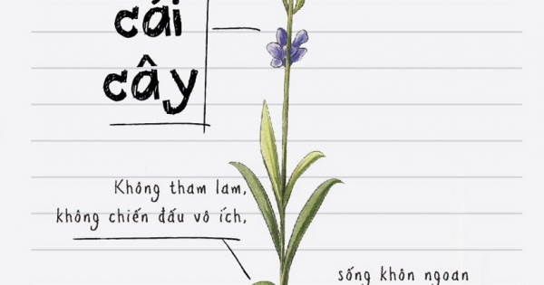 Sống Như Một Cái Cây: Không Tham Lam, Không Chiến Đấu Vô Ích, Sống Khôn Ngoan Một Cách Thầm Lặng