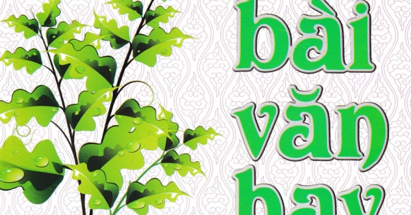 199 Đề Và Bài Văn Hay Lớp 8 (Dùng Chung Cho Các Bộ SGK Hiện Hành)