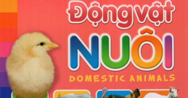 Bé Khám Phá Môi Trường Xung Quanh - Động Vật Nuôi