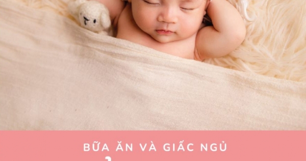 Cẩm Nang Chăm Sóc Bé Sơ Sinh - Bữa Ăn Và Giấc Ngủ