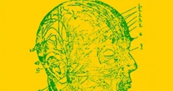 Y Án Châm Cứu Thực Nghiệm