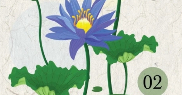 Ranh Giới Giữa Mê Và Ngộ - Tập 2 - Hạnh Phúc Bắt Đầu Từ Hôm Nay