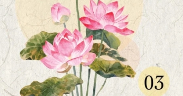 Ranh Giới Giữa Mê Và Ngộ - Tập 3 - Có Phật Pháp Là Có Biện Pháp