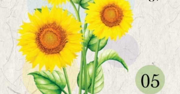 Ranh Giới Giữa Mê Và Ngộ - Tập 5 - An Nhiên Giữa Những Muộn Phiền