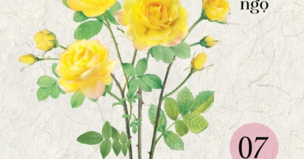 Ranh Giới Giữa Mê Và Ngộ - Tập 7 - Hành Trình Trí Tuệ