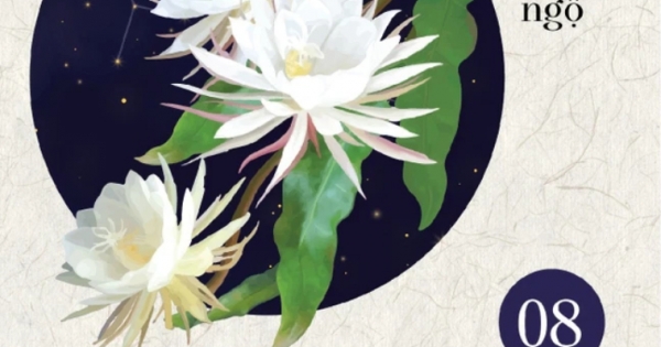 Ranh Giới Giữa Mê Và Ngộ - Tập 8 - Mật Mã Cuộc Đời