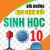Bồi Dưỡng Học Sinh Giỏi Sinh Học 10 (Dùng Chung Cho Các Bộ SGK Hiện Hành)