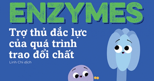 Nhà Sinh Hóa Tương Lai - Enzymes - Trợ Thủ Đắc Lực Của Quá Trình Trao Đổi Chất