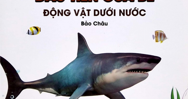 Thư Viện Hình Ảnh Song Ngữ Đầu Tiên Của Bé - Động Vật Dưới Nước