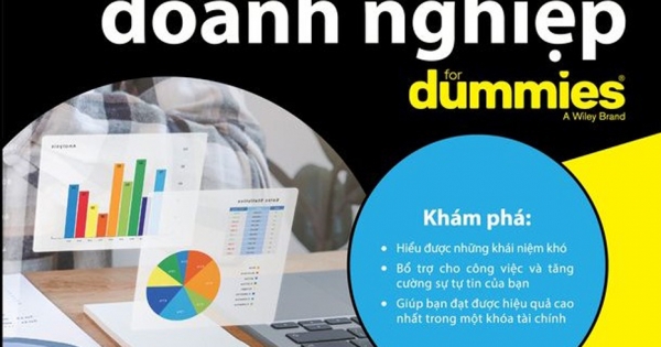 Tài Chính Doanh Nghiệp For Dummies | Newshop.vn: Sách