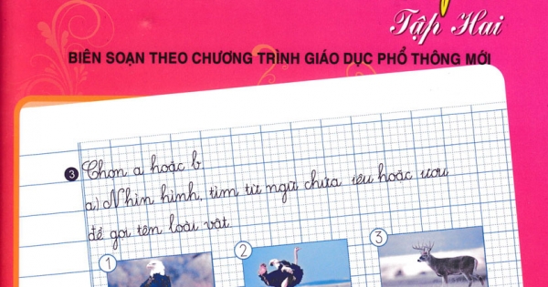 Vở Chính Tả Lớp 2 - Tập 2 (ND - Biên Soạn Theo Chương Trình GDPT Mới)