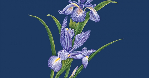 Càng Bình Tĩnh, Càng Hạnh Phúc