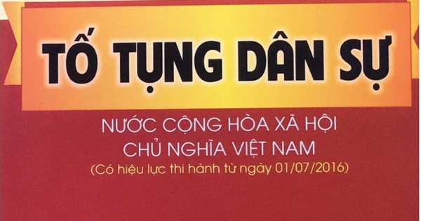 Bộ Luật Tố Tụng Dân Sự (ND)