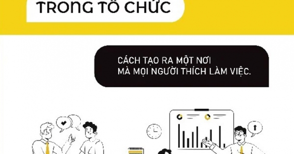 Văn Hóa Trong Tổ Chức - Cách Để Tạo Ra Một Nơi Mà Mọi Người Thích Làm Việc