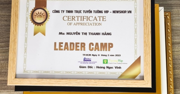 Khung Bằng Khen Composite, Mặt Mica Treo Tường Để Bàn 21X30cm(A4) (Trắng, Vàng, Nâu Gỗ, Đen)