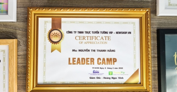 Khung Bằng Khen Viền Vàng Cổ Điển, Mặt Mica Treo Tường Để Bàn 21X30cm(A4)