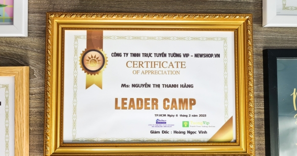 Khung Bằng Khen Viền Vàng Cổ Điển, Mặt Mica Treo Tường Để Bàn 25x35cm(B4)