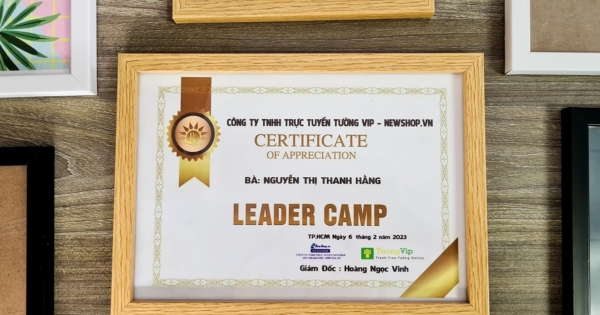 Khung Bằng Khen - Khung Giả Gỗ, Mặt Mica Treo Tường Để Bàn 25x35cm(B4)