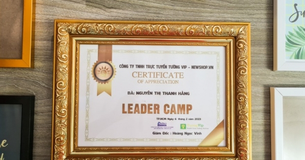 Khung Bằng Khen - Khung Vàng Cổ Điển Bảng To, Mặt Mica Treo Tường Để Bàn 21x30cm(A4)