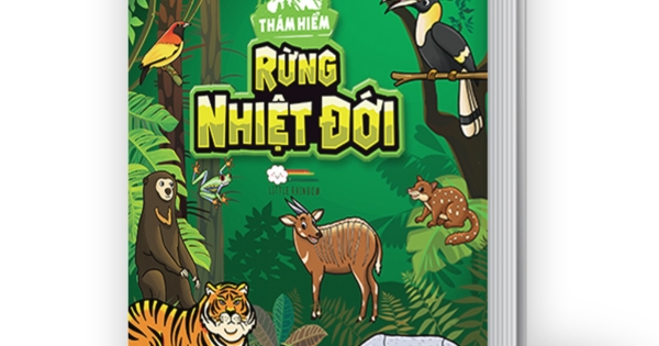 Con Tô màu - Thám Hiểm Rừng Nhiệt Đới