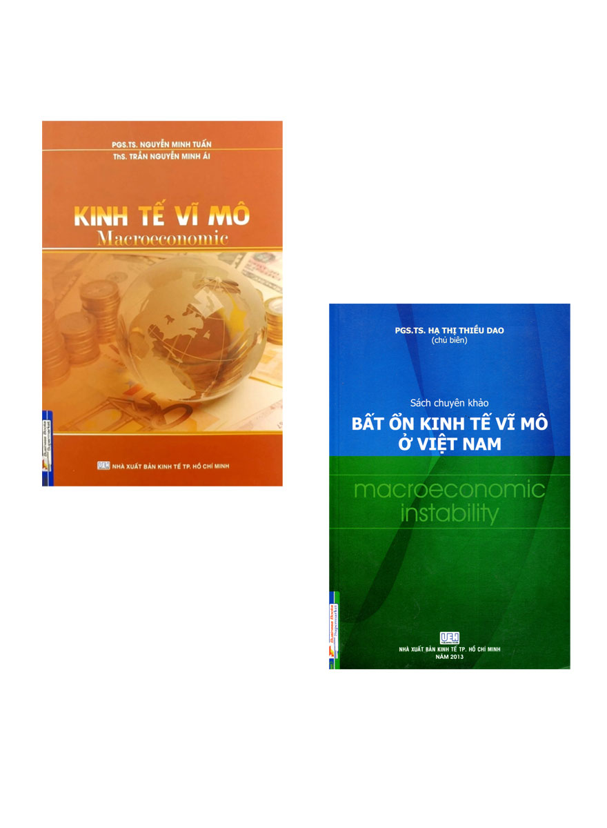 Combo Kinh Tế Vĩ Mô - Macroeconomic + Bất Ổn Kinh Tế Vĩ Mô Ở Việt Nam (Bộ 2 Cuốn)